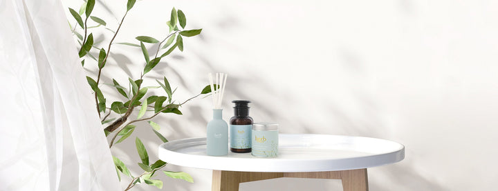 herb DUBLIN Kerzen und mehr - AutAll & Victoria's Laden