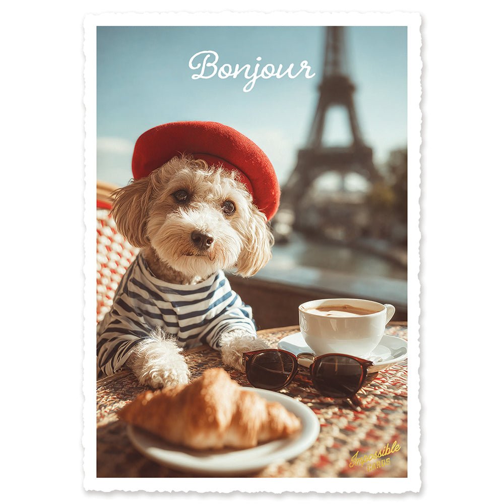 CHI-IC258 - chic.mic - Impossible Card Postkarte - Bonjour