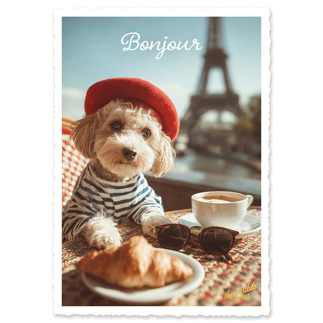 CHI-IC258 - chic.mic - Impossible Card Postkarte - Bonjour