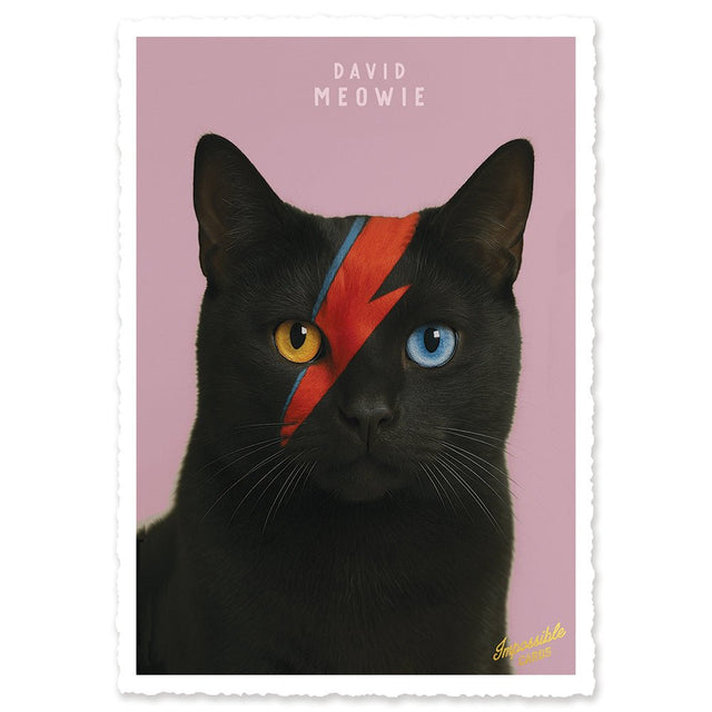 CHI-IC208 - chic.mic - Impossible Card Postkarte - David Meowie