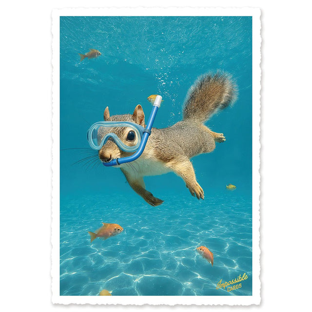 CHI-IC202 - chic.mic - Impossible Card Postkarte - diving squirrel