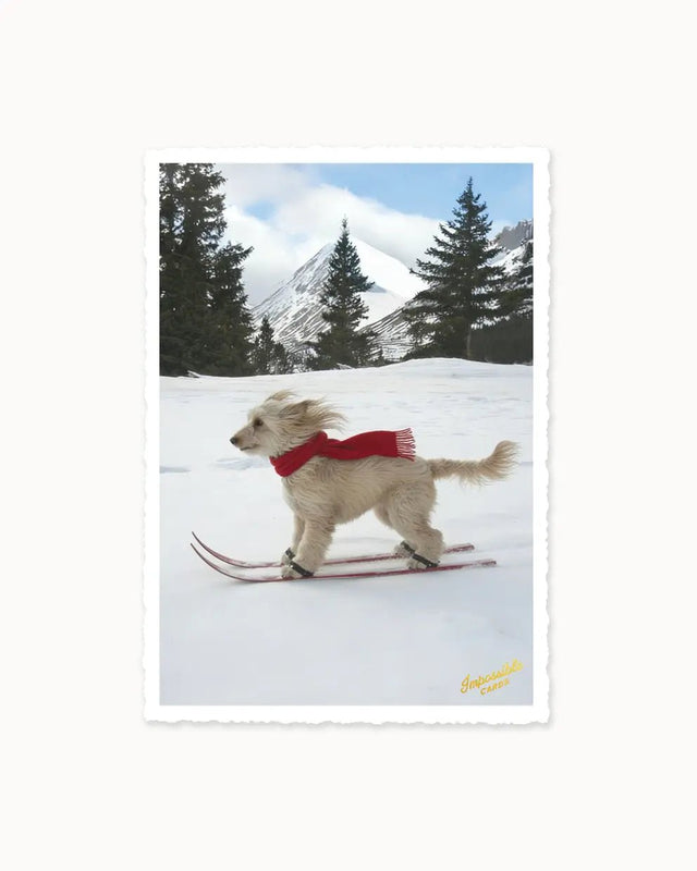 CHI-IC605 - chic.mic Impossible Card Postkarte Dog on Skis – Weihnachtskarte