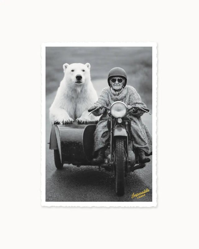CHI-IC602 - chic.mic Impossible Card Postkarte Eisbär – Weihnachtskarte