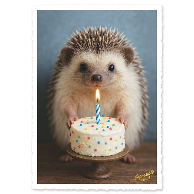 CHI-IC219 - chic.mic - Impossible Card Postkarte - Igel