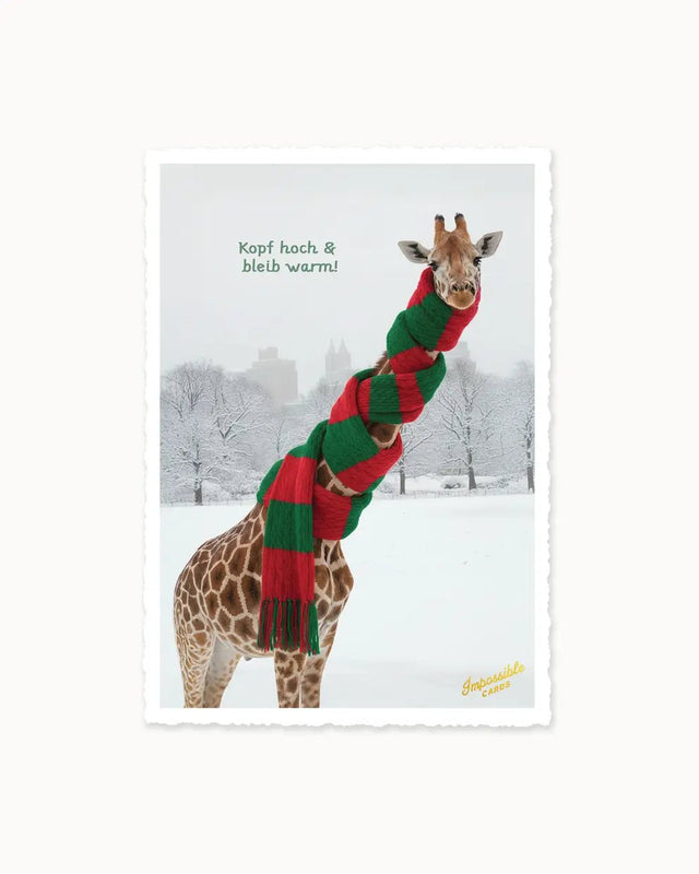 CHI-IC616 - chic.mic Impossible Card Postkarte Kopf hoch & warm bleiben - Weihnachtskarte