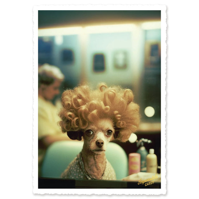 CHI-IC230 - chic.mic - Impossible Card Postkarte - Lockenhund