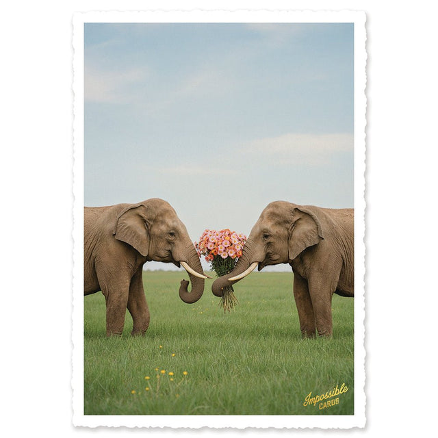 CHI-IC215 - chic.mic - Impossible Card Postkarte - lovely Elephants