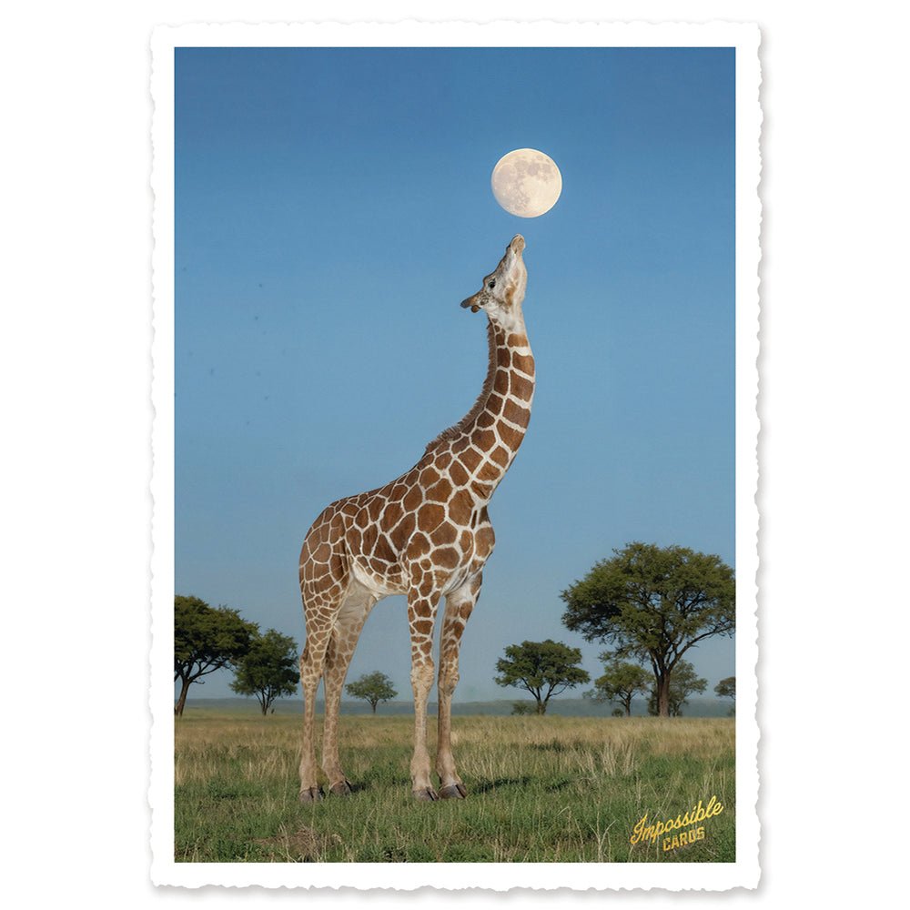 CHI-IC220 - chic.mic - Impossible Card Postkarte - moon giraffe