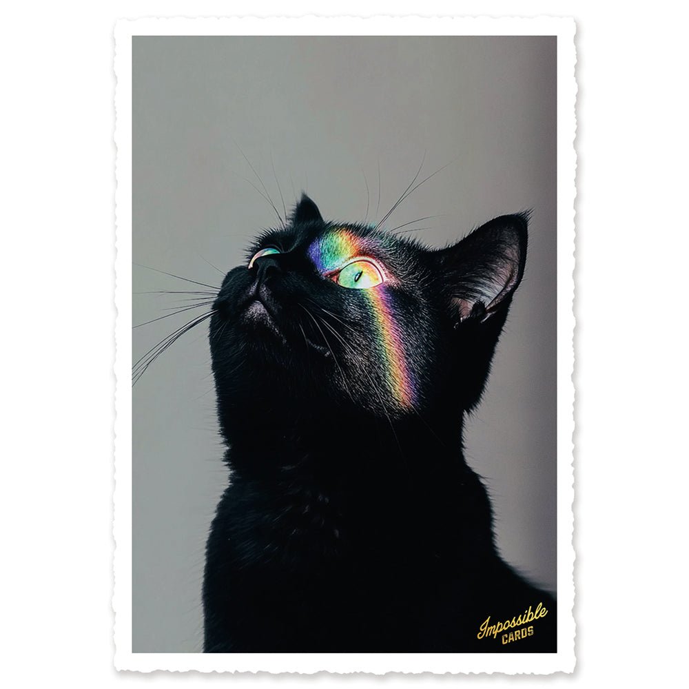 CHI-IC270 - chic.mic - Impossible Card Postkarte - rainbow cat