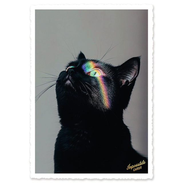 CHI-IC270 - chic.mic - Impossible Card Postkarte - rainbow cat
