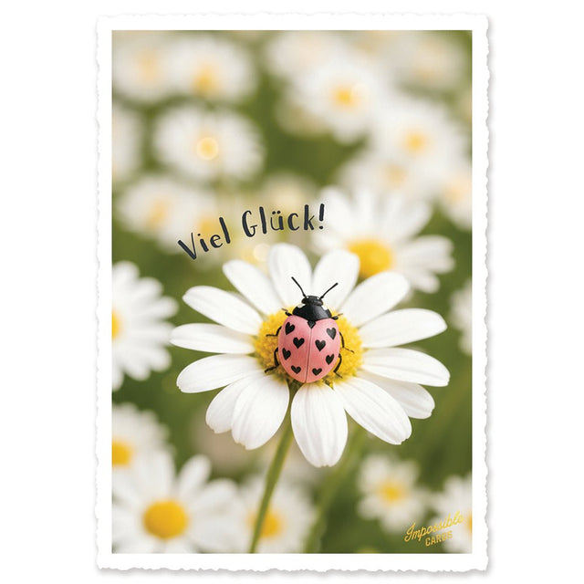CHI-IC255 - chic.mic - Impossible Card Postkarte - Viel Glück