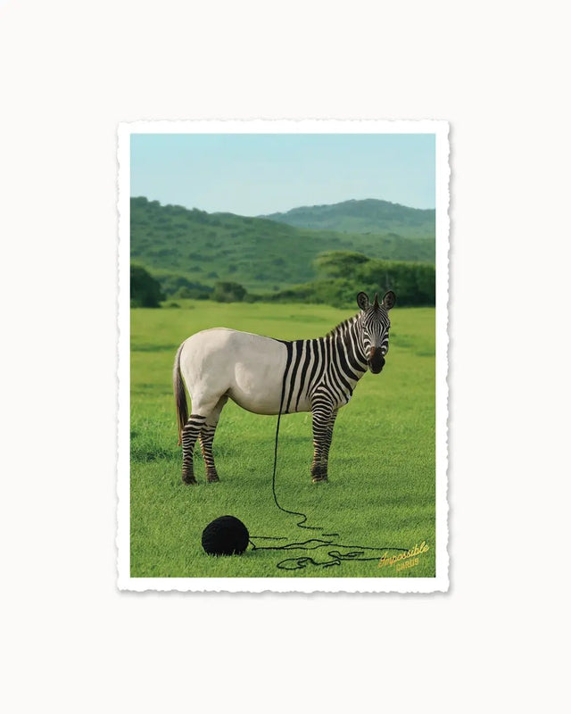CHI-IC288 - chic.mic - Impossible Card Postkarte - Zebra