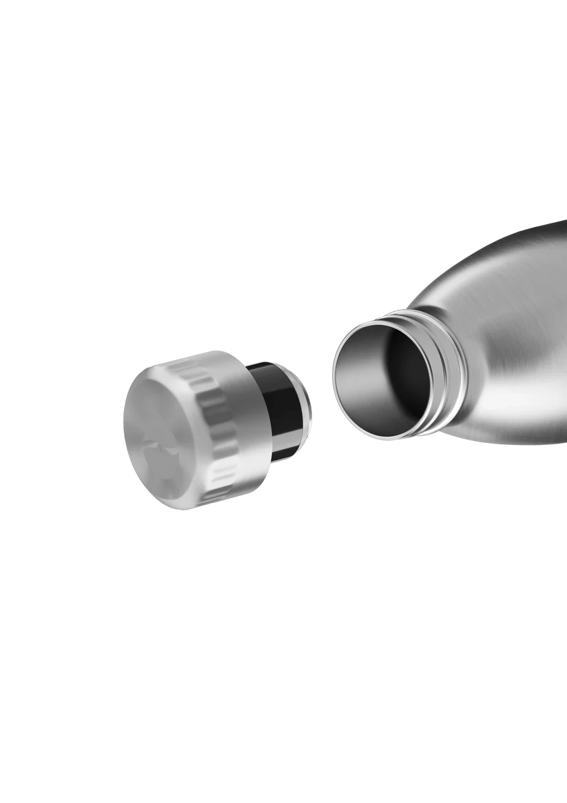 FL - 1010 - 1000 - 2013 - FLSK To - Go - Bottle 1000ml stainless