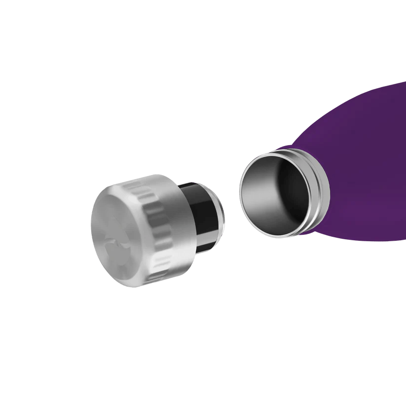 FL - 1010 - 0500 - 2035 - FLSK To - Go - Bottle 500ml nordic plum