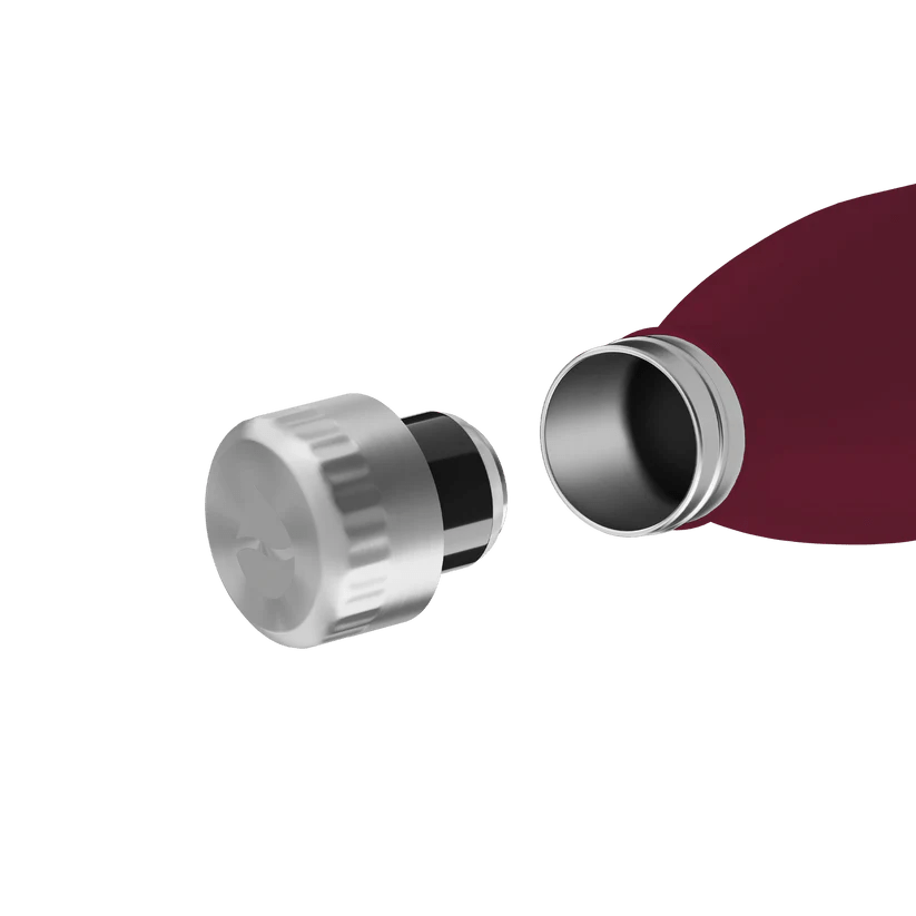 FL - 1010 - 0500 - 2033 - FLSK To - Go - Bottle 500ml winterberry