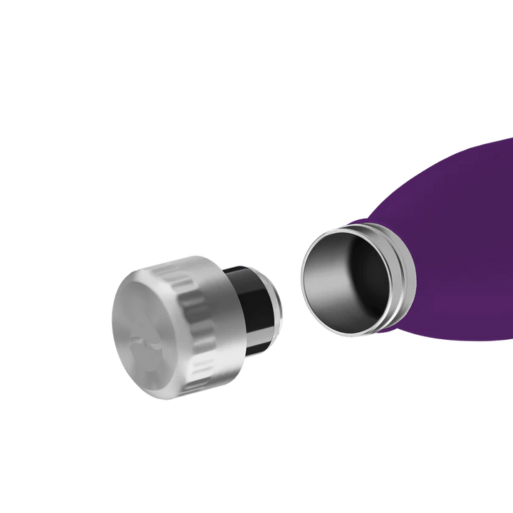 FL - 1010 - 0750 - 2035 - FLSK To - Go - Bottle 750ml nordic plum