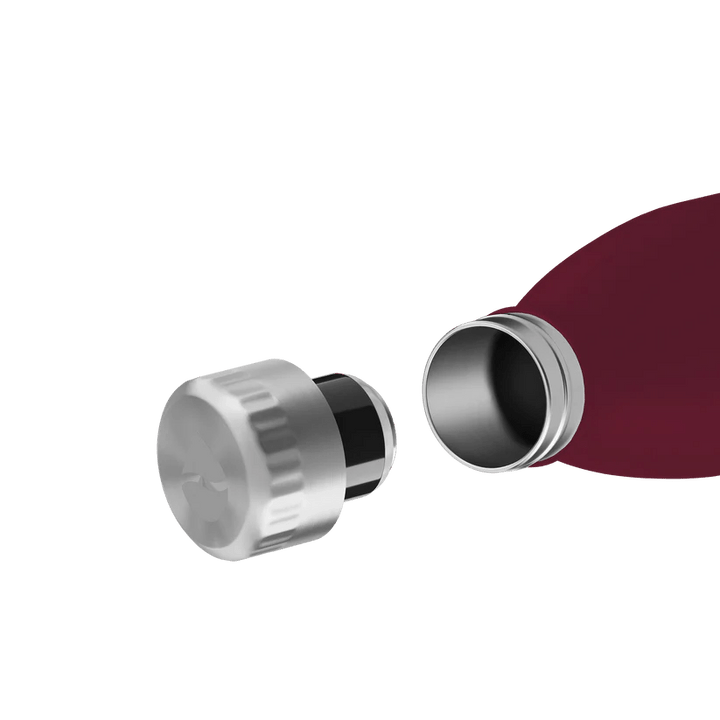 FL - 1010 - 0750 - 2033 - FLSK To - Go - Bottle 750ml winterberry