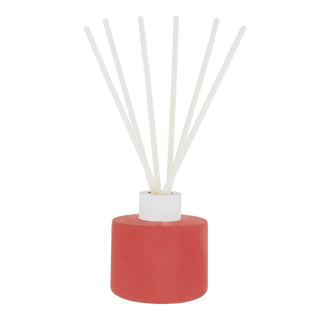 IB - WINTER - DIF - Irish Botanicals - Wild Winter Berries Diffuser - 120 ml