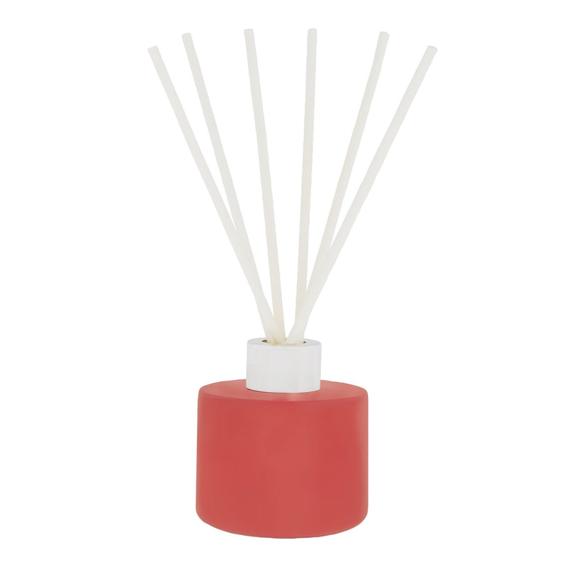 IB - WINTER - DIF - Irish Botanicals - Wild Winter Berries Diffuser - 120 ml