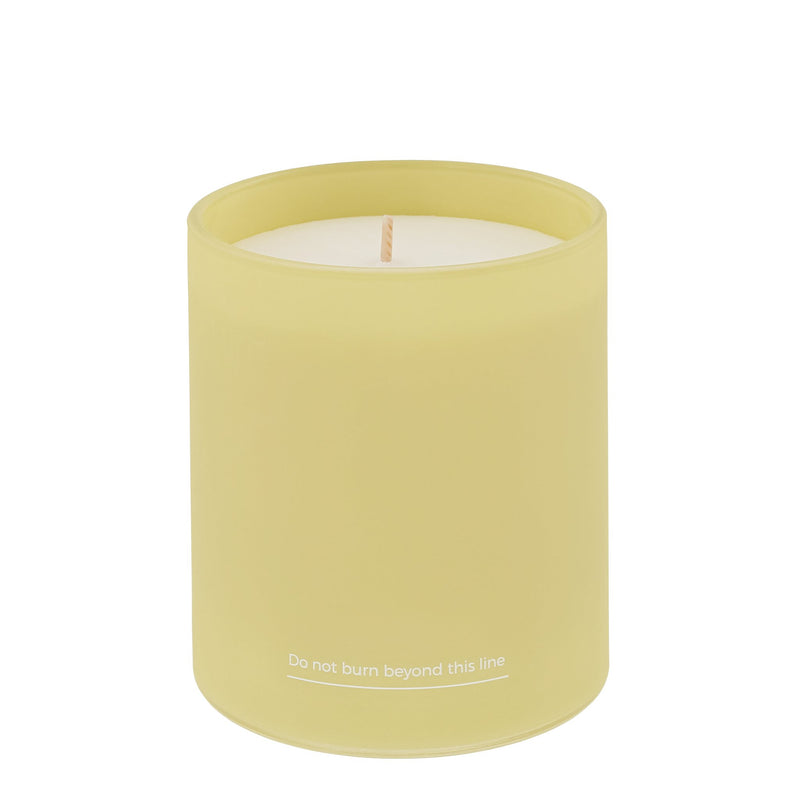 herb - HC - BB - 89 - Butterblume und Bienenbalsam Kerze, herb DUBLIN