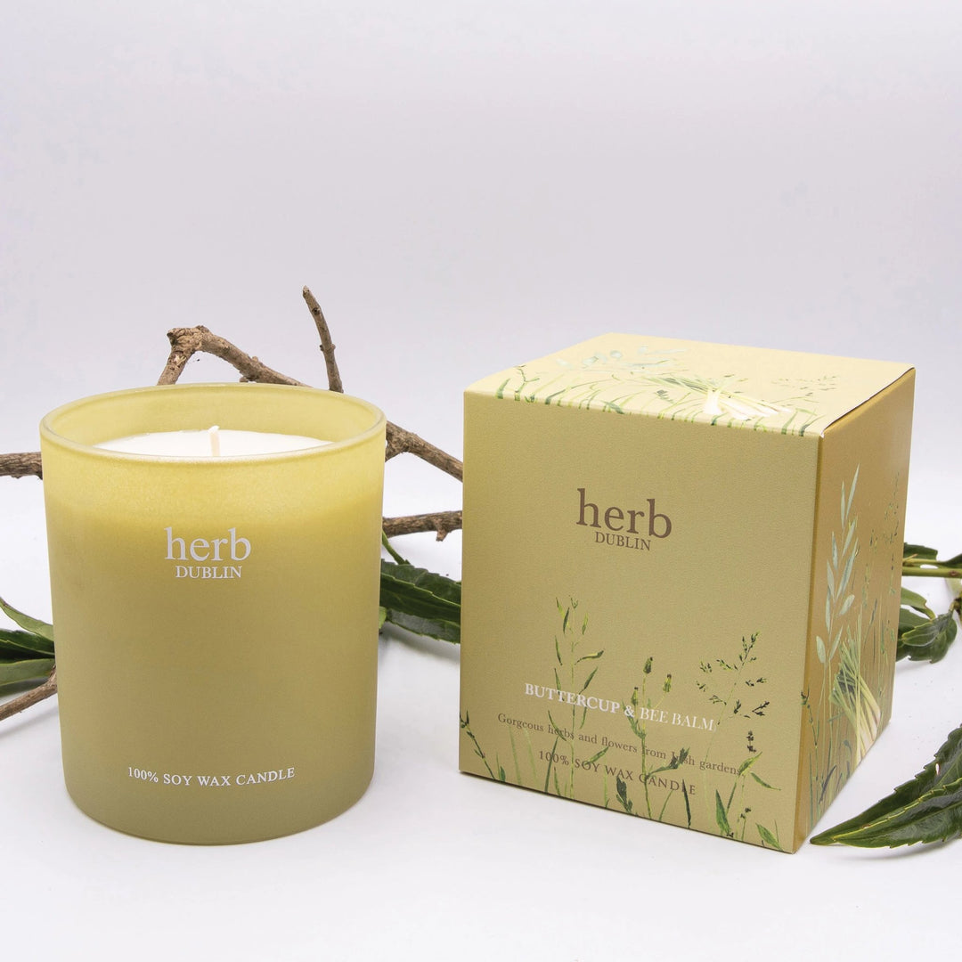 herb - HC - BB - 89 - Butterblume und Bienenbalsam Kerze, herb DUBLIN