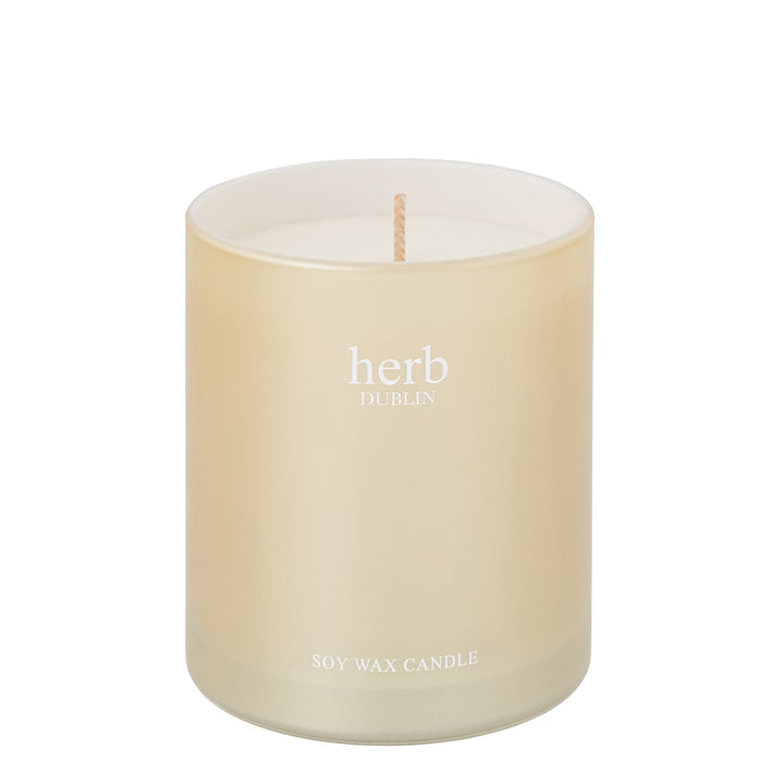 herb - HC - HJC - 89 - Holly Jolly Christmas Kerze, herb DUBLIN