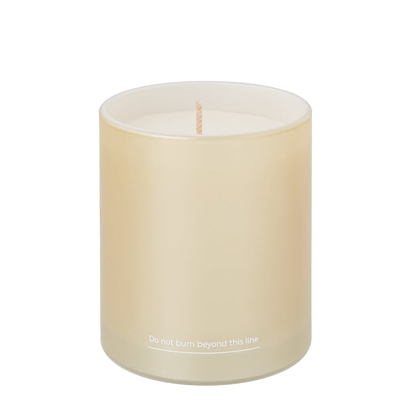 herb - HC - HJC - 89 - Holly Jolly Christmas Kerze, herb DUBLIN