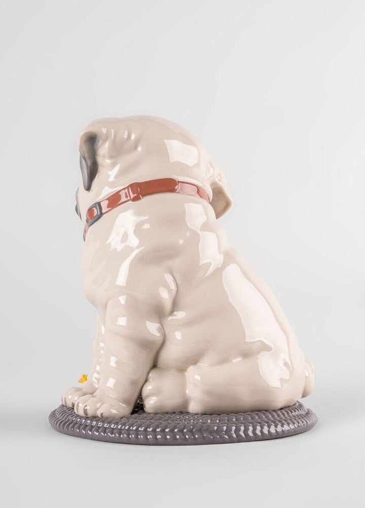 010 - 09689 - LLADRO® Figur Mops Puppie Pug Skulptur 24x20x20cm 01009689 2023