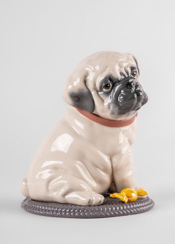 010 - 09689 - LLADRO® Figur Mops Puppie Pug Skulptur 24x20x20cm 01009689 2023