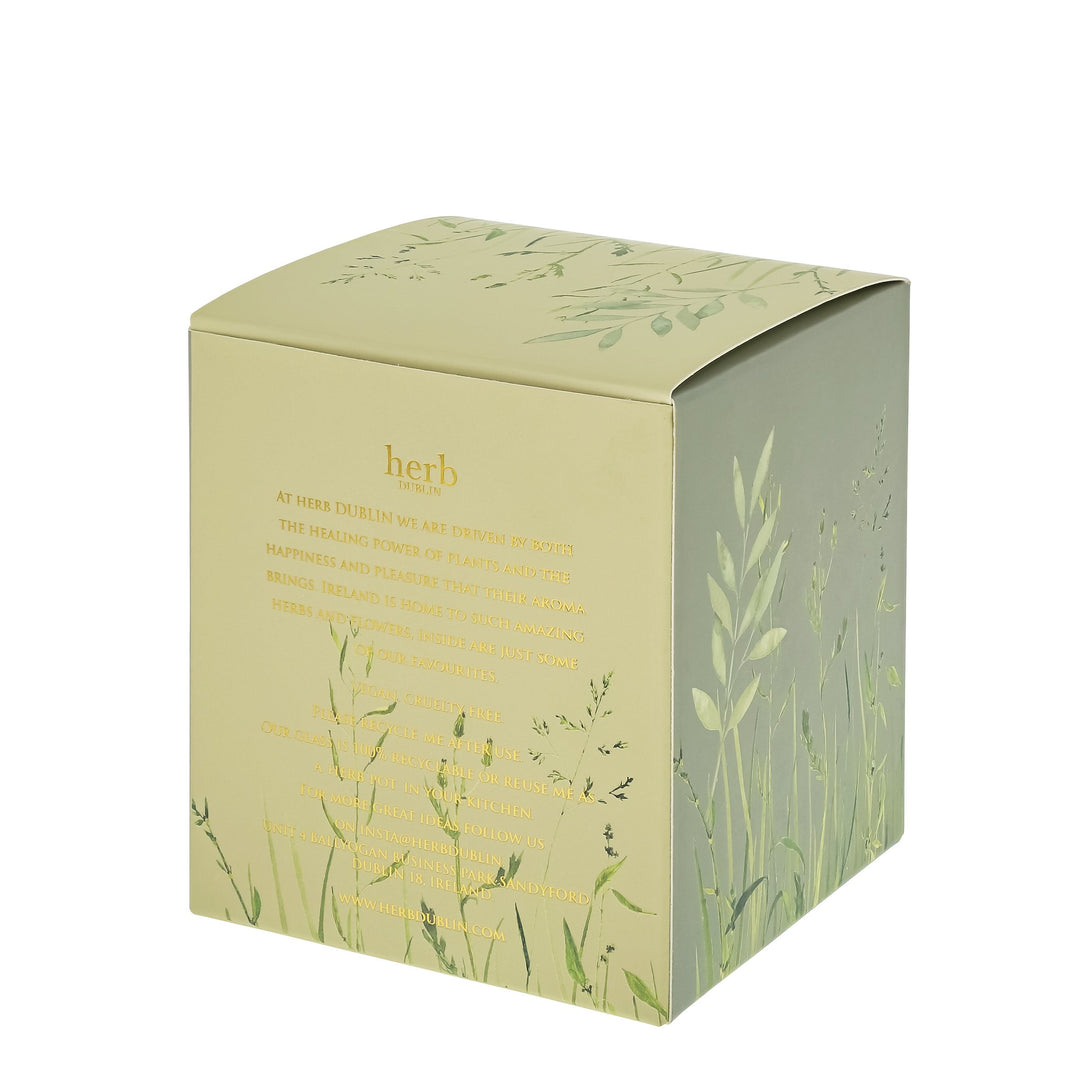 herb - HC - PE - 89 - Pfefferminze, Eukalyptus und Limette Kerze, herb DUBLIN