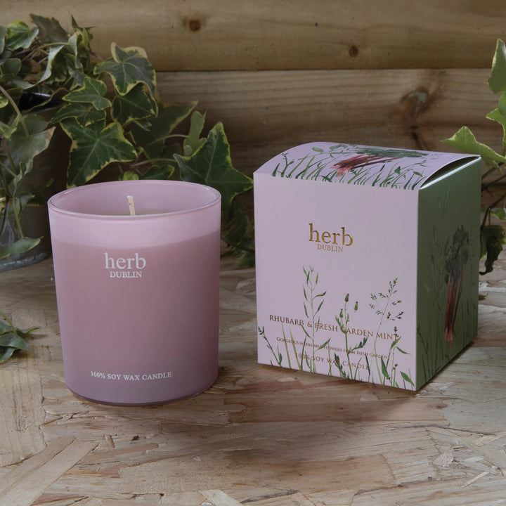 herb - HC - RHU - 89 - Rhabarber Kerze, herb DUBLIN