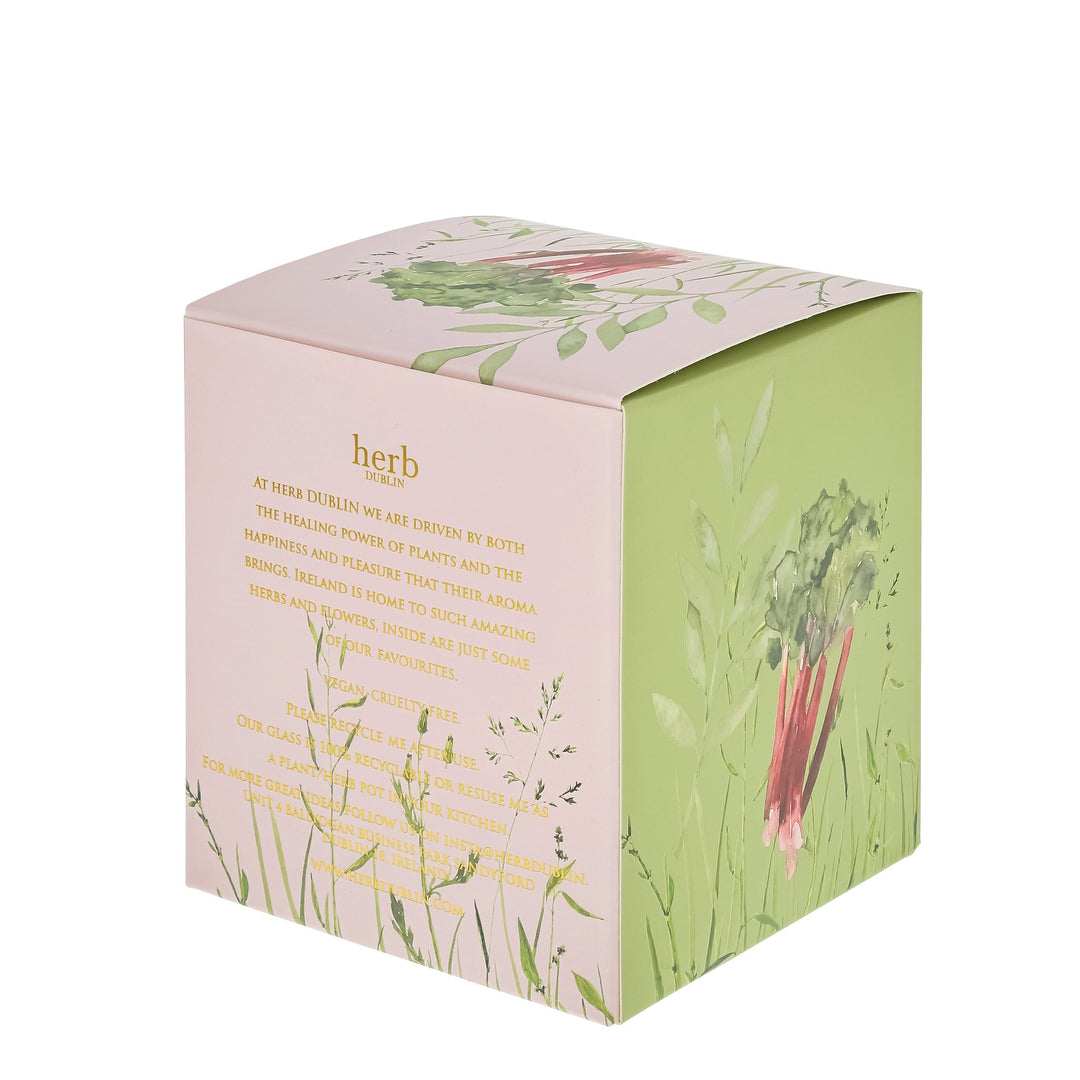 herb - HC - RHU - 89 - Rhabarber Kerze, herb DUBLIN